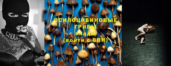 соль курить ск Бородино