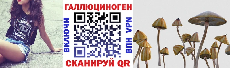 Галлюциногенные грибы прущие грибы  Купить закладки  Жирновск 
